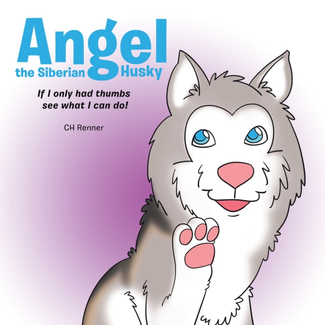 Angel the Siberian Husky