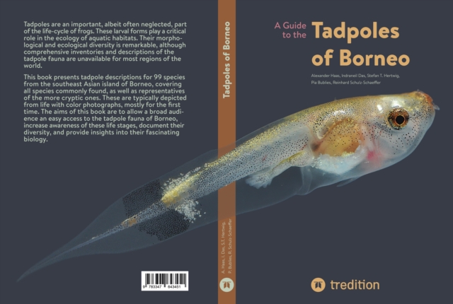 Guide to the Tadpoles of Borneo