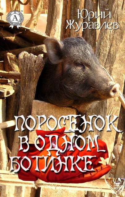 Pig in one shoe