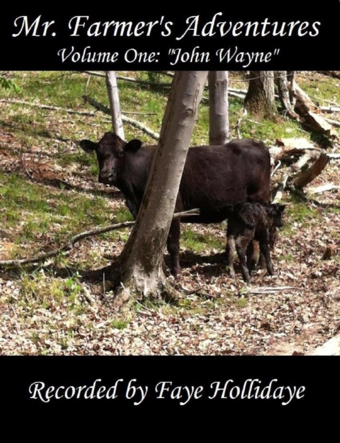 John Wayne (Mr. Farmer's Adventures, Vol. 1)