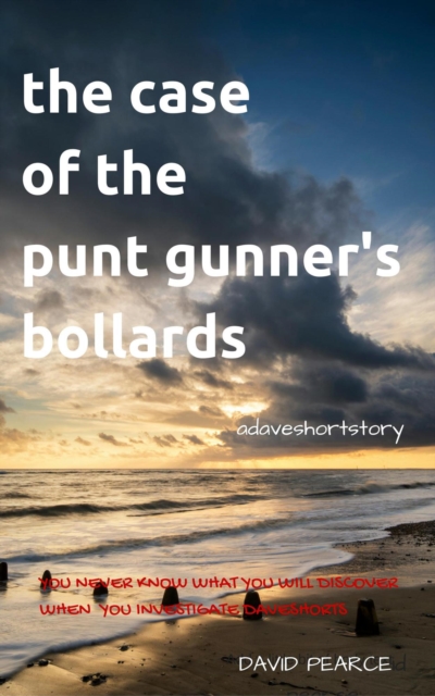 Case Of The Punt Gunner's Bollards