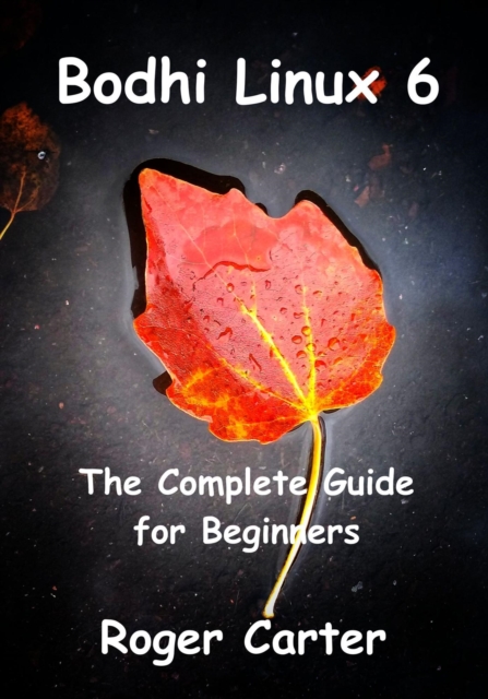 Bodhi Linux 6