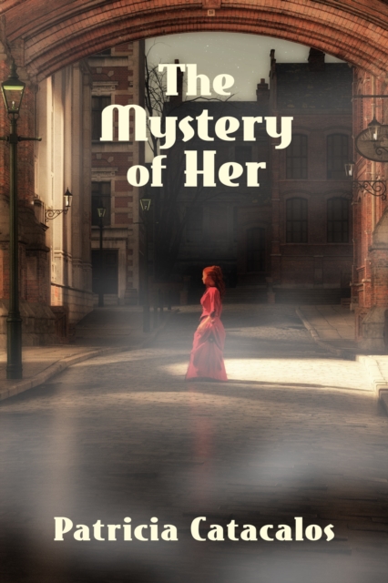 Mystery of Her - Book 1 in the Zane Brothers Detective Series
