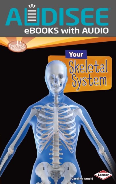 Your Skeletal System
