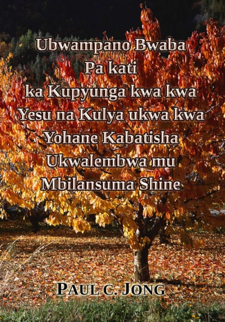 Ubwampano Bwaba Pa kati ka Kupyunga kwa kwa Yesu na Kulya ukwa kwa Yohane Kabatisha Ukwalembwa mu Mbilansuma Shine