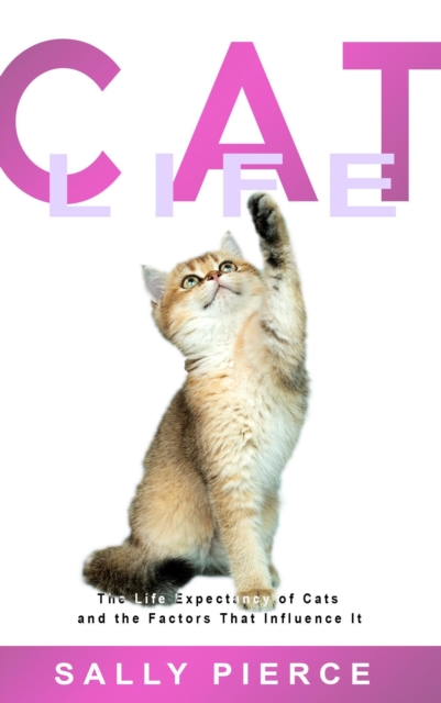 Cat Life: The Life Expectancy of Cats and the Factors That Influence It