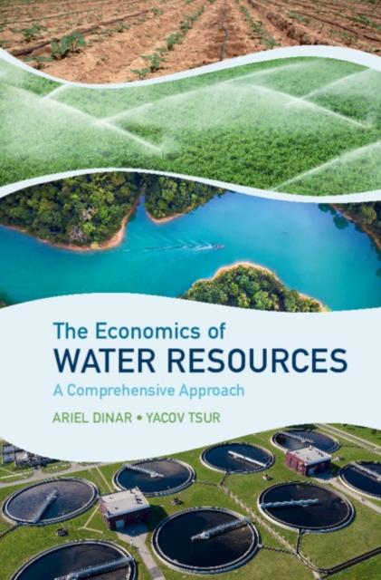 Economics of Water Resources