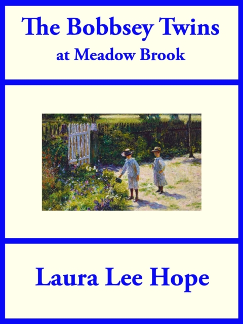 Bobbsey Twins at Meadow Brook