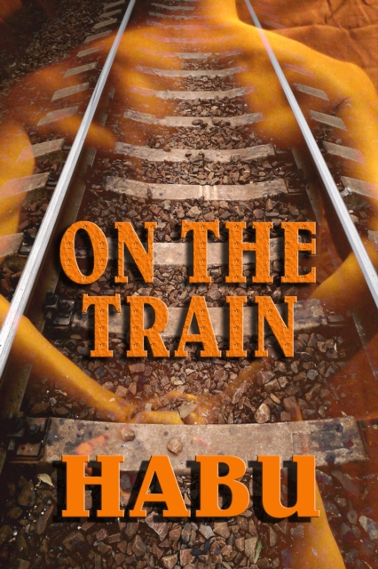 On the Train: Gaily Riding the Rails