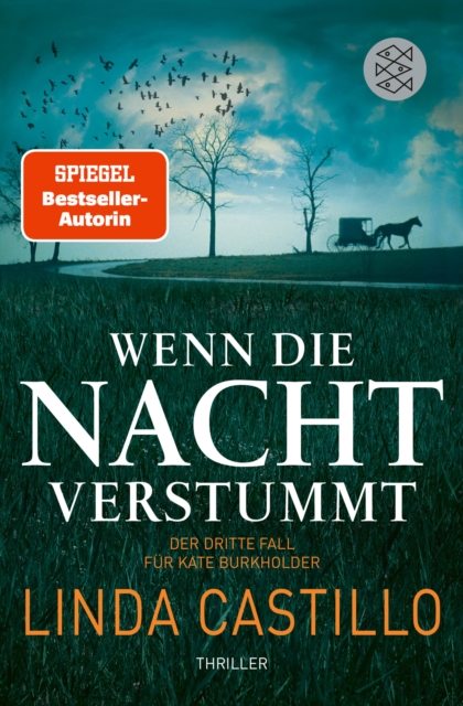 Wenn die Nacht verstummt