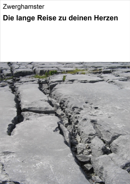 Die lange Reise zu deinen Herzen