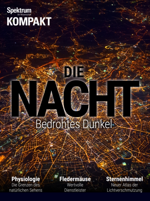 Spektrum Kompakt - Die Nacht