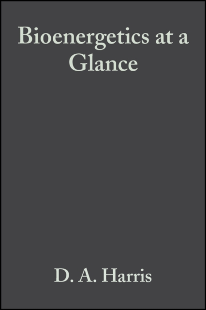 Bioenergetics at a Glance