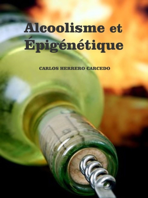 Alcoolisme Et Epigenetique