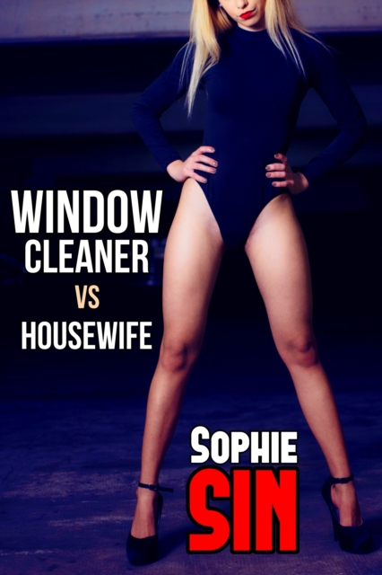 Window Cleaner vs Housewife