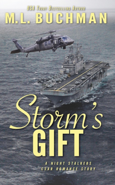 Storm's Gift: a military romantic suspense story