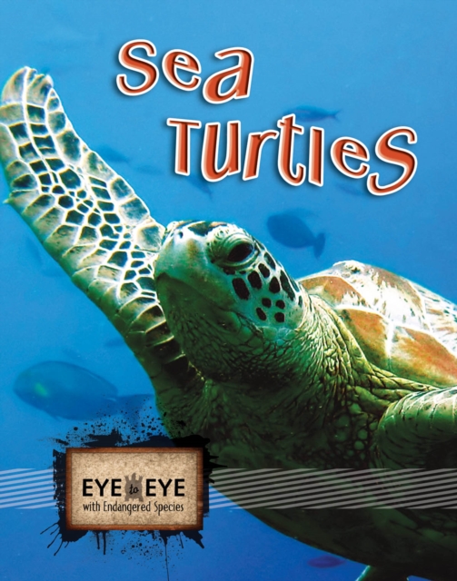 Sea Turtles