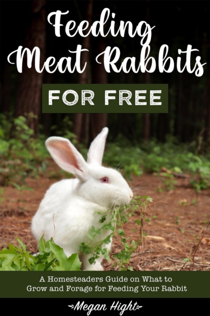 Feeding Meat Rabbits for Free