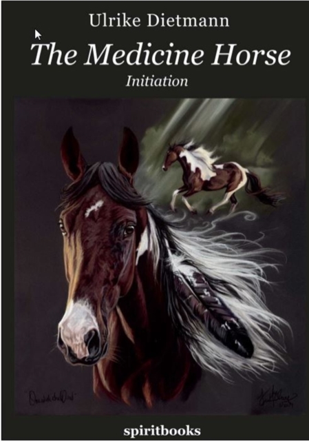Medicine Horse
