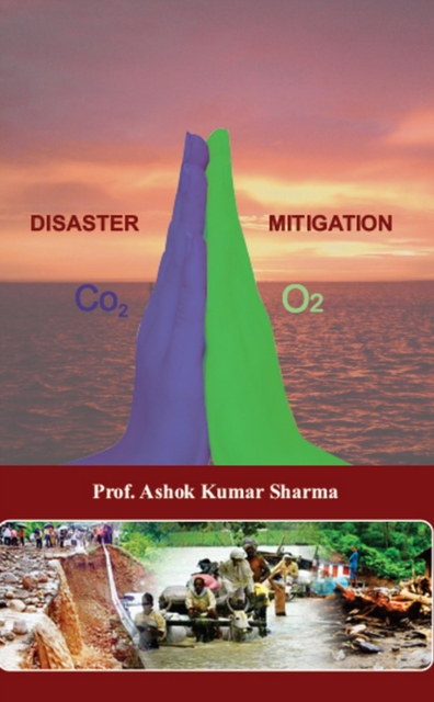 Disaster Mitigation