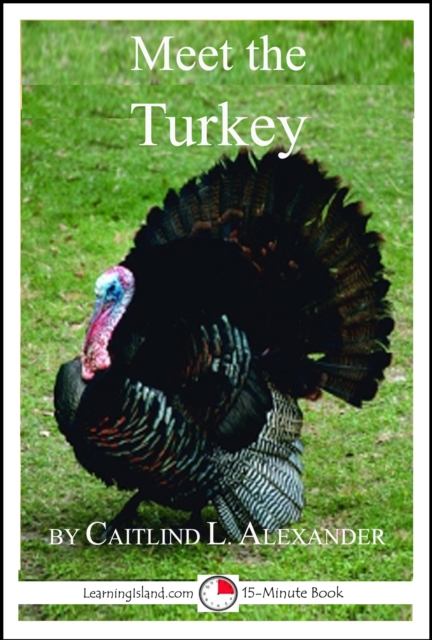 Meet the Turkey