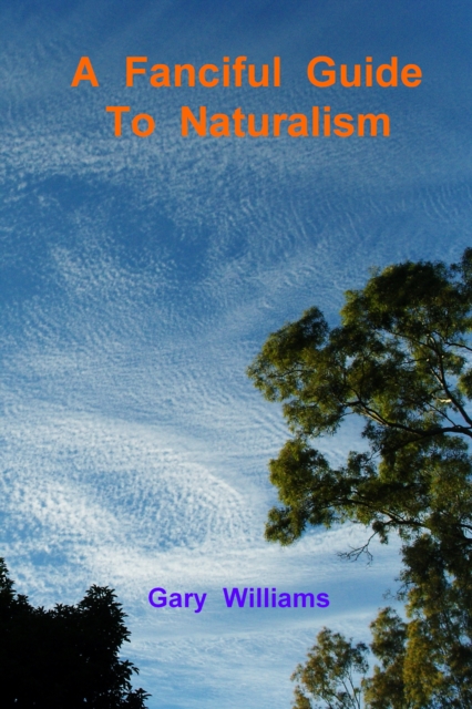Fanciful Guide to Naturalism