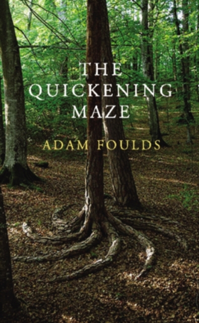 Quickening Maze