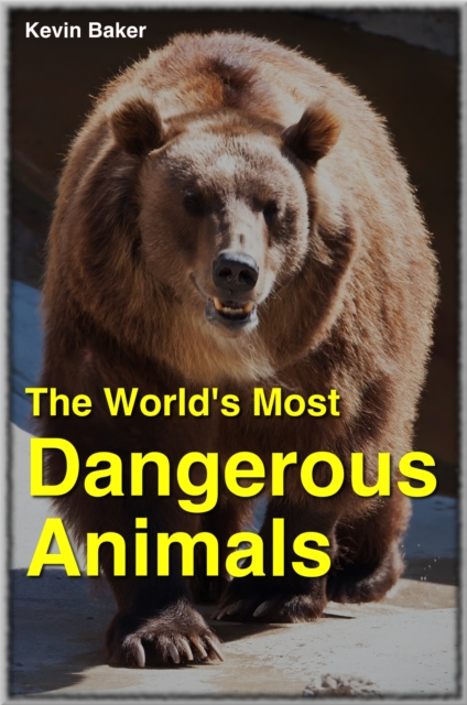 World's Most Dangerous Animals