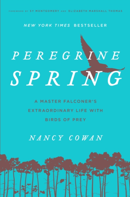 Peregrine Spring