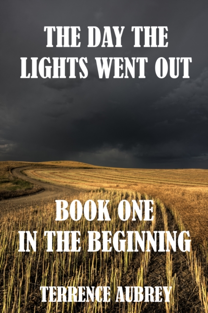 Day The Lights Went Out: In The Beginning