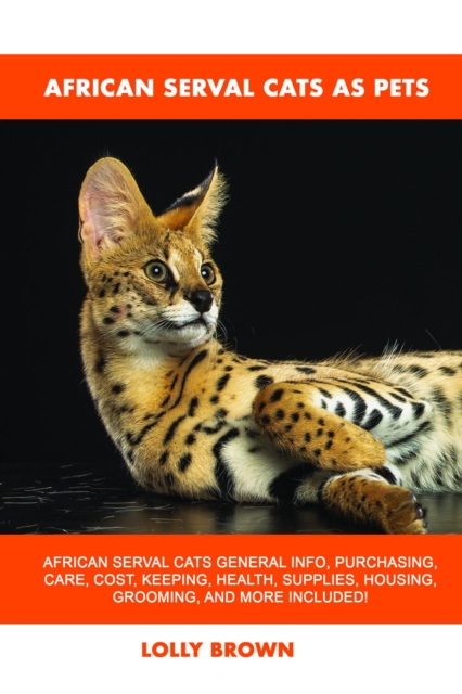 African Serval Cats as Pets