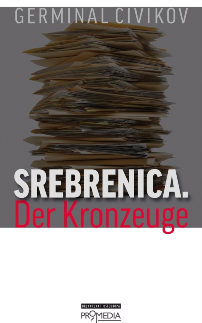 Srebrenica. Der Kronzeuge