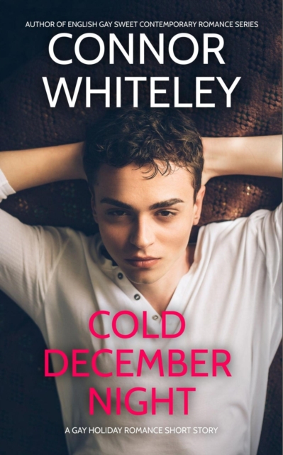 Cold December Night: A Gay Holiday Romance Short Story