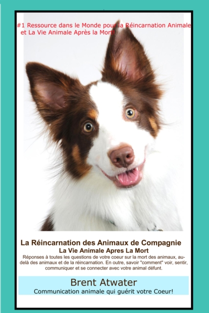 La Reincarnation Animale et La Vie Animale Apres La Mort: Reponses a toutes les questions de votre Coeur !