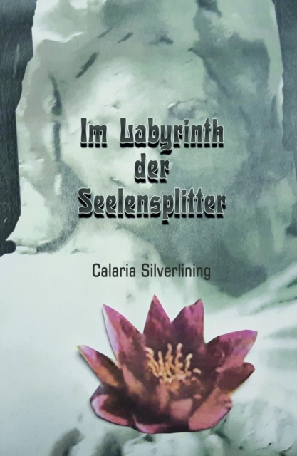 Im Labyrinth der Seelensplitter