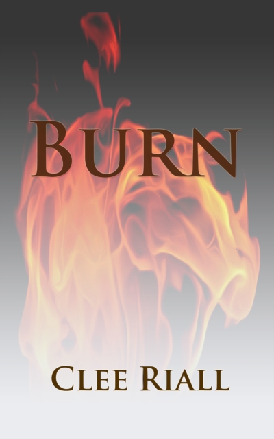 Burn (A Tori Nichols Escapade, Book 3)