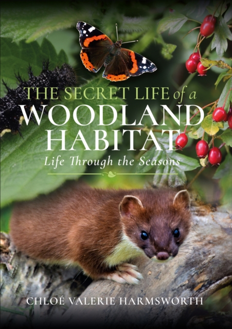 Secret Life of a Woodland Habitat
