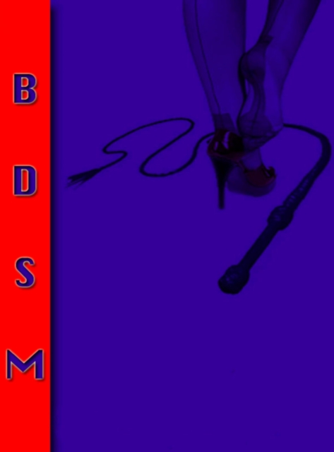 Erotic Stories BDSM Volume 1. In English.