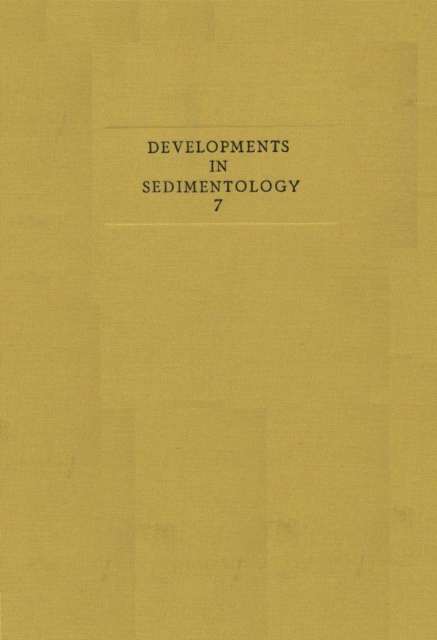 Sedimentary features of flysch and greywackes