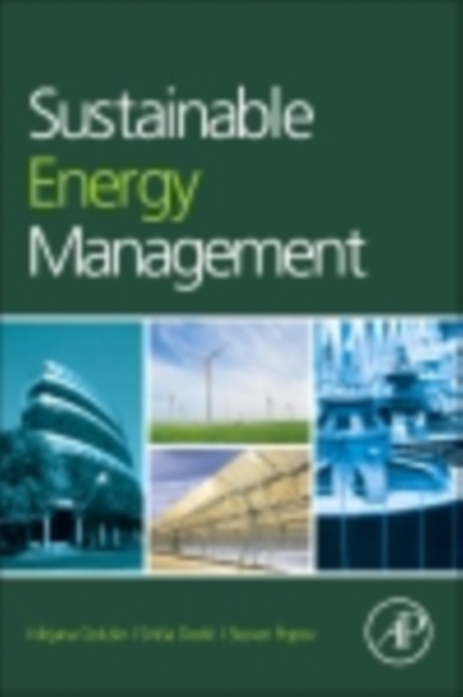 Sustainable Energy Management