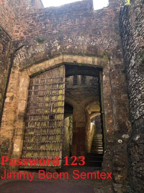 Password 123