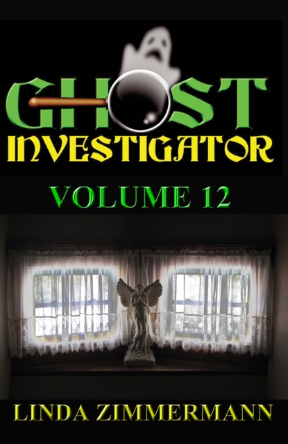 Ghost Investigator Volume 12