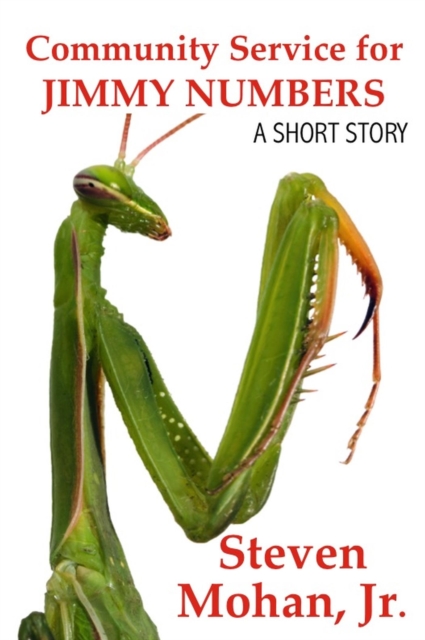 Community Service for Jimmy Numbers