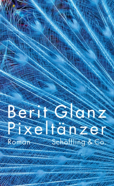 Pixeltänzer