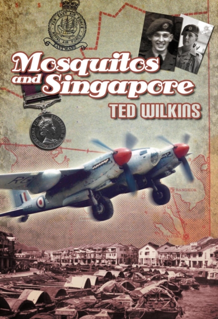 Mosquitos and Singapore
