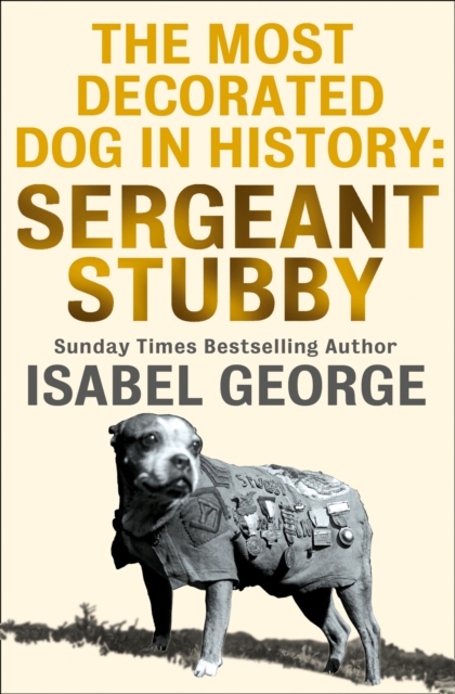 Most Decorated Dog In History: Sergeant Stubby