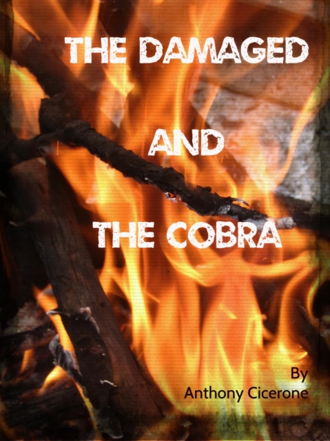 Damaged and The Cobra