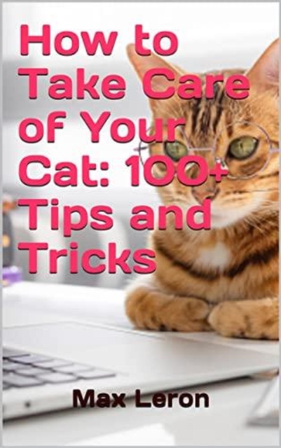 How to Take Care of Your Cat: 100+ Tips and Tricks