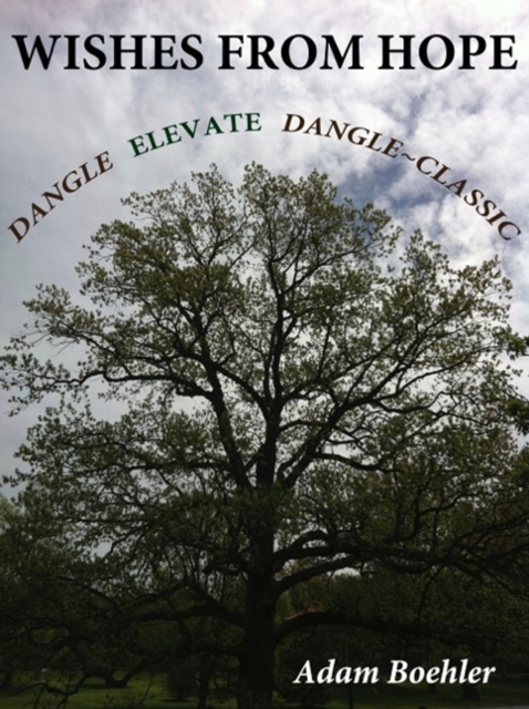 Wishes From Hope Dangle / Elevate / Dangle ~ Classic
