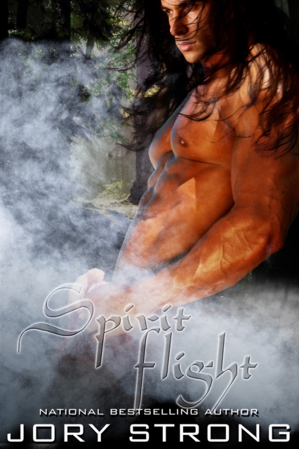 Spirit Flight